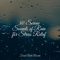Soft Rains on the Window - Natural Sample Makers & Sounds of Nature for Deep Sleep and Relaxation & Meditation & Stress Relief Therapy