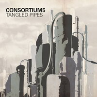 Chanterelle - Consortium5