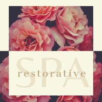 Music to Feel Less Stressed - Spa Music Relaxation Meditation