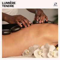 Adoucissement Serein - Musique Zen Garden & Oasis de Musique Zen Spa & Massage Sérénité Musique & Musique Pure de Massage