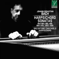 Sonata No. 1 in D Minor, BWV 1001: IV. Presto - Salvatore Carchiolo & Johann Sebastian Bach