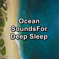 Ocean Wave Sounds With Nature Sounds To Help with Meditation - Ocean Sounds & Ocean Waves for Sleep & Ocean Sounds Spa