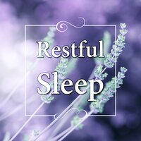 Mindfulness - Restful Sleep Music Collection
