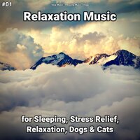 Relaxation Music Part 95 - Slow Music & Relaxing music & Yoga