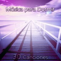 Sonidos de la Naturaleza - Academia de Sonidos de la Naturaleza para Dormir