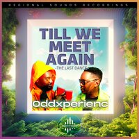 Till We Meet Again - Oddxperienc