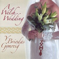 Dacw Nghariad / Y Bore Glas - Huw Williams