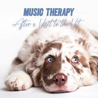 Sleeping Doggie - Pet Music Academy