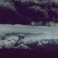 Reef - Warmth