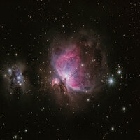 Searching For Home Portal - Robert Green