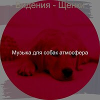 Созерцая (Щенки) - Музыка для собак атмосфера