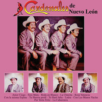 Tu Huella Perdí - Cardenales de Nuevo Leon