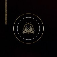 Meteorite - Cristian Norris