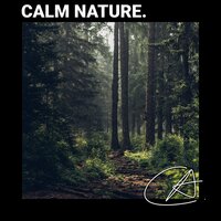 Relaxing sounds of Crickets in Fireplace to help your baby sleep - Chill Out & Crickets & Sleep Crickets