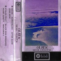 Black Dog Serenade - Olsen