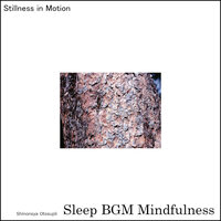 Soft and Sleepy - Sleep BGM Mindfulness