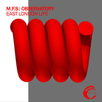 Hackney Central Mystery - M.F.S: Observatory