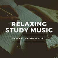 Should Have - Relaxing Study Music