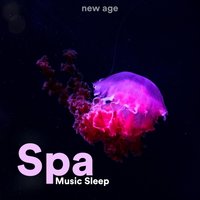 Meditation Music - Sueño Profundo