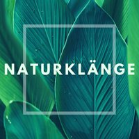 Ruhetag - Sanfte Klänge