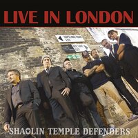 Do the Funky Chicken - Shaolin Temple Defenders