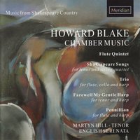Flute quintet, Op. 493: II. Scherzo con spirito - Martyn Hill