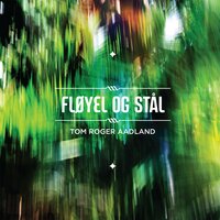 Kva Bryr Det Meg? - Tom Roger Aadland