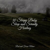 Restful Solitude - Sleepy Times & White Noise Relaxation & Classical Study Music