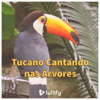 Caminho para a selva - Lullify Português