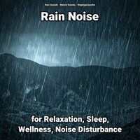 Rain Noise for Relaxation Pt. 58 - Nature Sounds & Rain Sounds & Regengeräusche