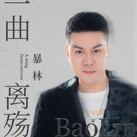 一曲离殇 - 暴林