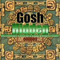 Hidden - Gosh