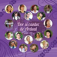Luna, luna calatoare - Veta Biris