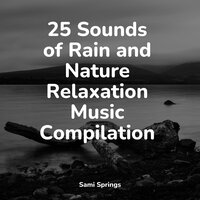 Rainy, Stormy Night - Amazing Spa Music & Chakra Meditation Universe & Rain Recorders