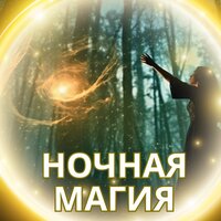 Звёздный полёт - ЗВЕЗДНАЯ НОЧЬ & тихий снег & Тихая ночь
