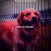 Majestic Ambience for Training Dogs - Music for Dogs Bgm