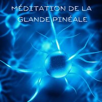 Tonalités de solfège - Club de Méditer de Détendre
