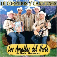 El Numero Uno - Los Amables del Norte