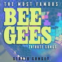 New York Mining Disaster - Studio Sunset