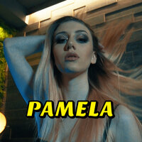 Beyonce - Pamela