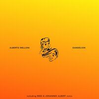 Dandelion - Alberto Melloni & Johannes Albert