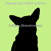 Атмосфера (Щенки) - Музыка для собак оркестр