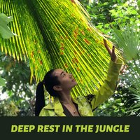 Delightful Noises of Nature - Nature Music Sanctuary