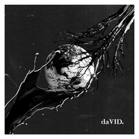 Welcome David - SER