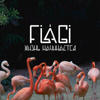 Жизнь начинается - FLAGI