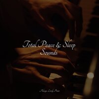Dreamscapes - Ambient Piano & Exam Study Classical Music & RPM (Relaxing Piano Music)