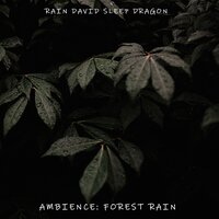 Climbing The Mountain To Sleep - Rain David Sleep Dragon