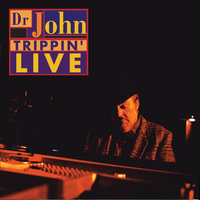 Wild Honey - Dr. John