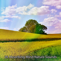 Бриз через храм - Sounds of Nature Noise