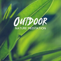Calm Before Storm - Nature Sounds Artists